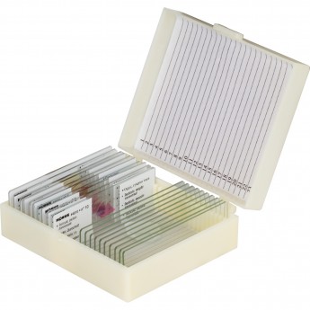 Набор микропрепаратов KONUS 10: «Человеческое тело. Норма»