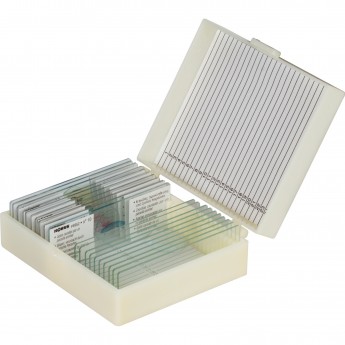 Набор микропрепаратов KONUS 10: «Животные и растения. Мутации»