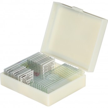 Набор микропрепаратов KONUS 10: «Рыбы, лягушки и другие земноводные»