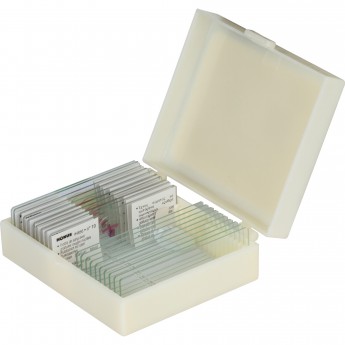 Набор микропрепаратов KONUS 10: «Ящерицы, змеи и птицы»