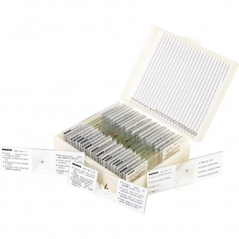 Набор микропрепаратов KONUS 25: «Беспозвоночные и насекомые»