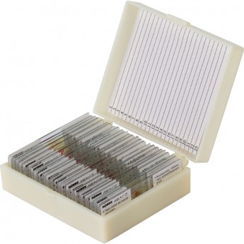 Набор микропрепаратов KONUS 25: «Клетки и ткани животных»