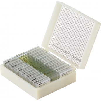 Набор микропрепаратов KONUS 25: «Насекомые»